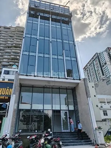 6005355 ảnh đại diện 1