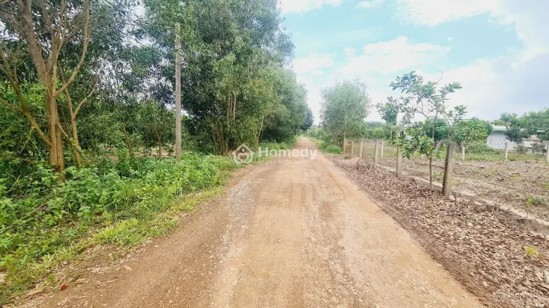 Bán Gấp 103X115(12110M2) Đất Ngay Kcn Sơn Mỹ, Hàm Tân, Bình Thuận. Có 400M2 Thổ Cư