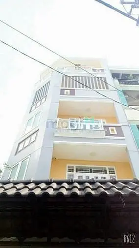6005455 ảnh đại diện 1
