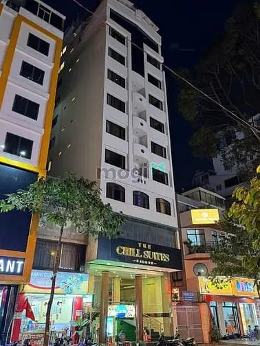 6005602 ảnh đại diện 1