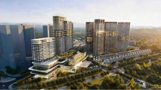 6005474 ảnh đại diện 1