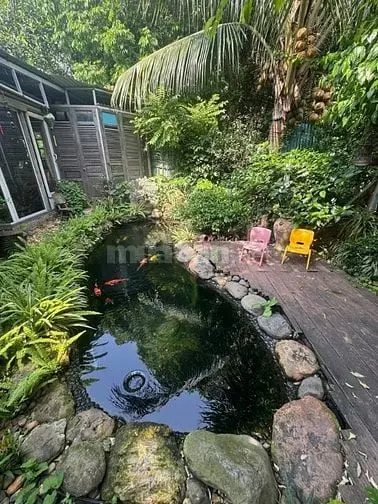 Vợ Chồng Đi Nước Ngoài Cần Bán Gấp Lô Đất Vườn Đẹp Tại Định Quán