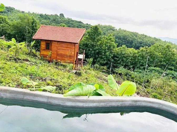 Vợ Chồng Đi Nước Ngoài Cần Bán Gấp Lô Đất Vườn Đẹp Tại Định Quán