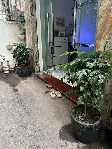 6005438 ảnh đại diện 1