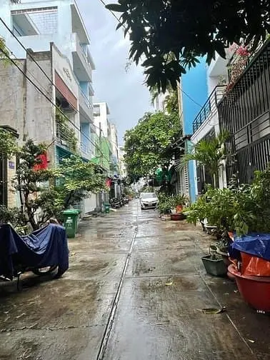 6005586 ảnh đại diện 1