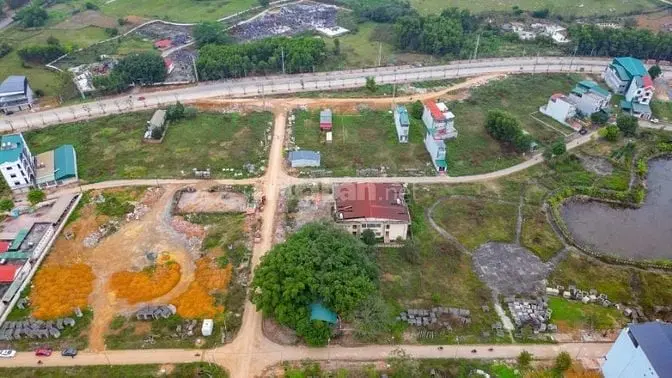 6005530 ảnh đại diện 1