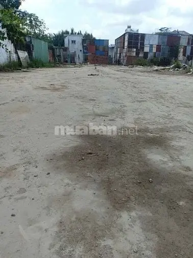6005263 ảnh đại diện 1