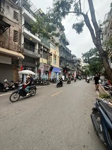 6005979 ảnh đại diện 1