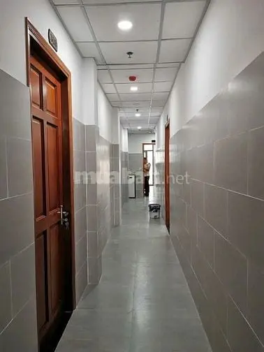 Vp Sát Mặt Tiền Cống Lở 341M2 Ngang 6M 5 Lầu Kết Hợp Chdv Gần Kcn 30Tỷ
