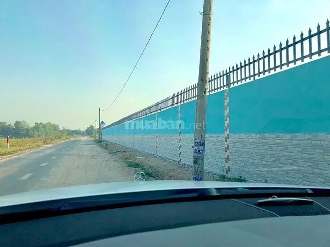 6005819 ảnh đại diện 1