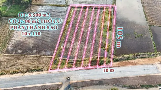 8.500 M2 Đất Mặt Tiền Hcm Đức Hòa, Liền Kề 2 Kcn..giá Ngộp Bán Gấp