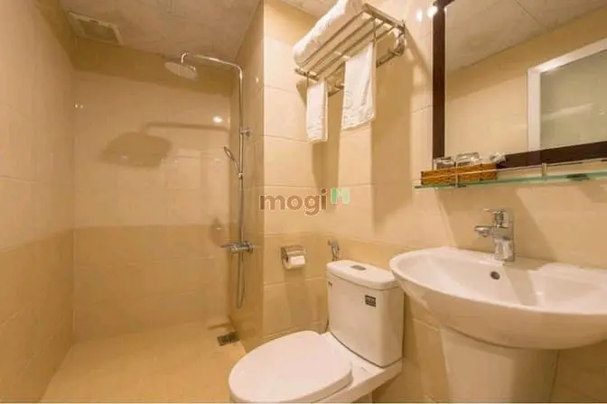 6005717 ảnh đại diện 1