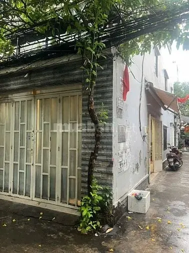 Cho Thuê Nhà 2 Hẻm 4M(Xh) Tám Danh, P.4, Q.8 Giá 12Tr
