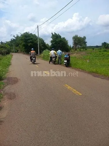 Bán Gấp Lô Đất Giá Rẻ Chỉ Vài Trăm