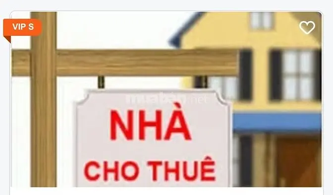 6005969 ảnh đại diện 1