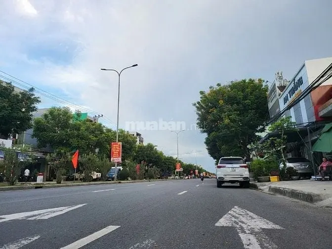 6005911 ảnh đại diện 1