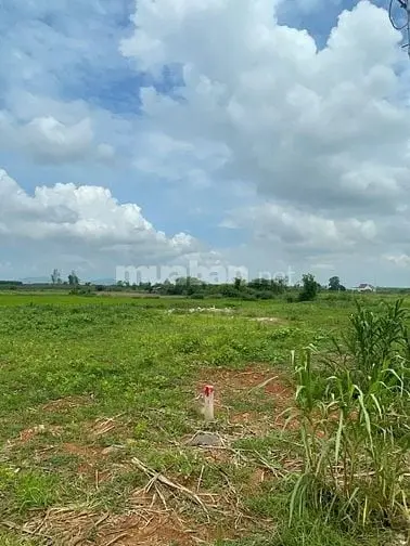 6005794 ảnh đại diện 1