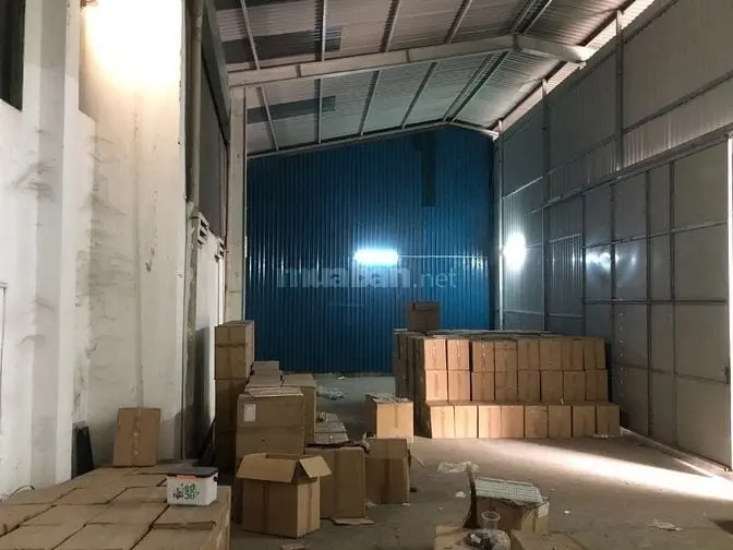 6005847 ảnh đại diện 1