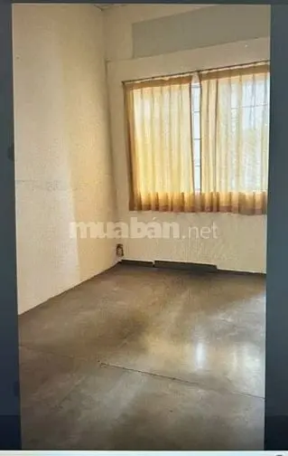 6005946 ảnh đại diện 1