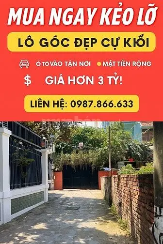 6005789 ảnh đại diện 1