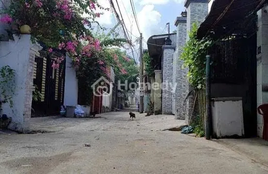 6005711 ảnh đại diện 1
