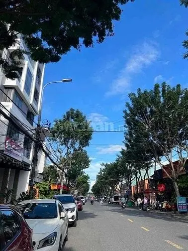 6005795 ảnh đại diện 1