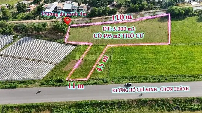 6005961 ảnh đại diện 1