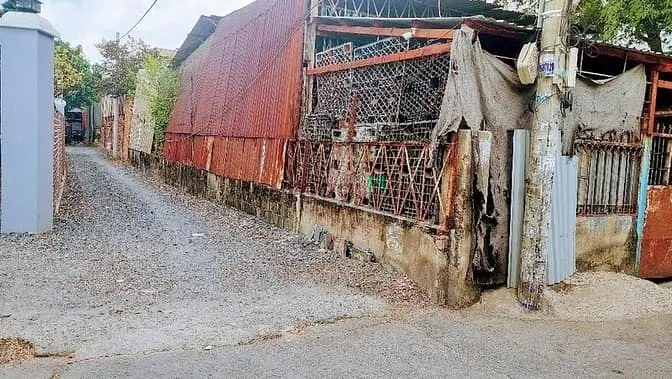 6006154 ảnh đại diện 1