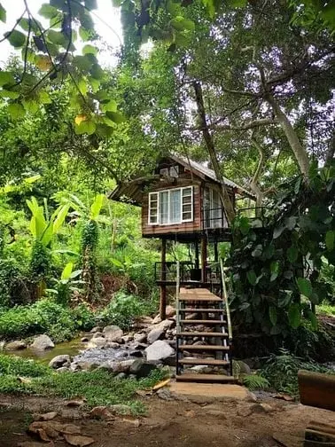 6006254 ảnh đại diện 1