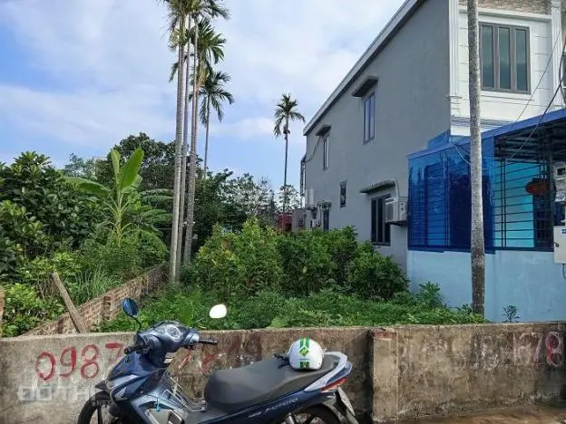 Bán Đất, Thôn Tự Lập, Xã Đặng Cương, Huyện An Dương, Hải Phòng