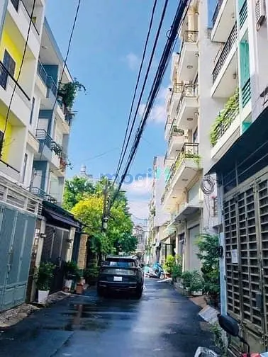 6006506 ảnh đại diện 1