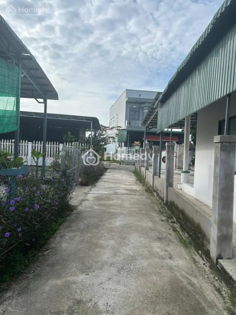 6006549 ảnh đại diện 1