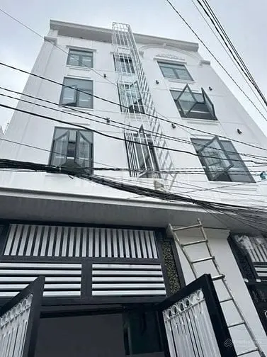 6006426 ảnh đại diện 1