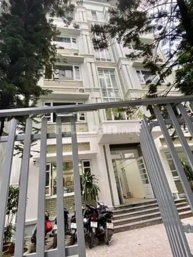 6006397 ảnh đại diện 1