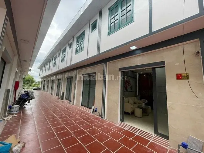 6006023 ảnh đại diện 1