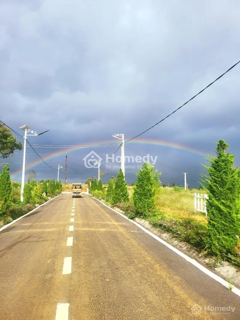 6006434 ảnh đại diện 1