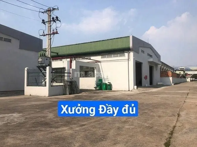 6006343 ảnh đại diện 1