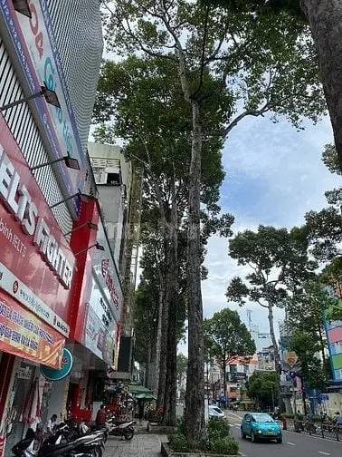Bán Mặt Tiền Ngã 7 Trung Tâm Sg Ng Gia Tự Vs Lý Thái Tổ,80M2 _ 28 Tỷ!