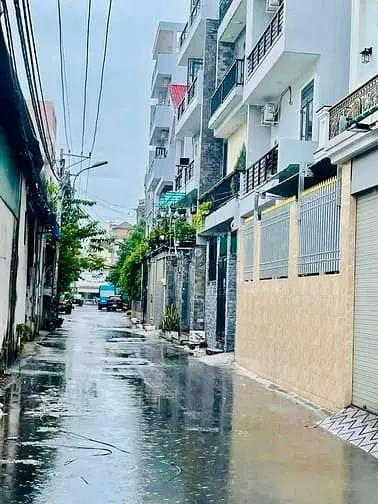 6006120 ảnh đại diện 1