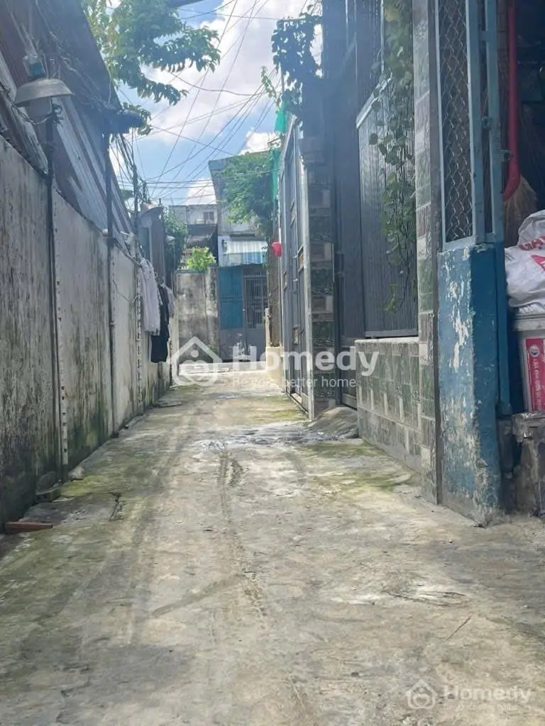6006042 ảnh đại diện 1