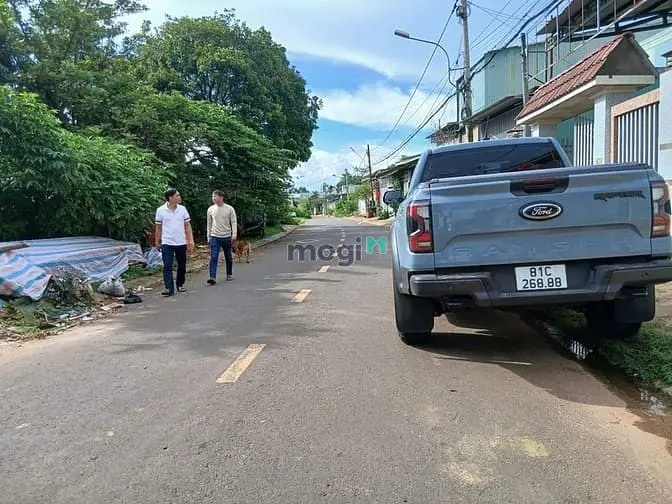 6006151 ảnh đại diện 1