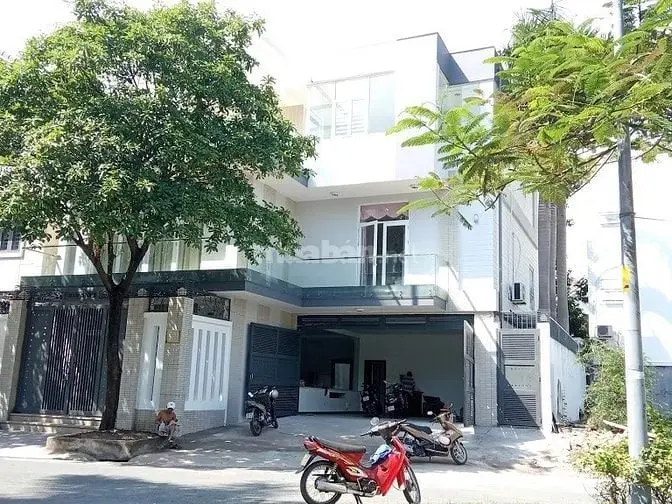 6006530 ảnh đại diện 1