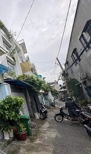 6006415 ảnh đại diện 1