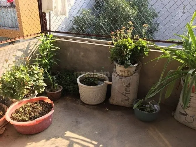 Bán Đất 55M2 Tặng Nhà 3 Tầng Tại Phố Giaquất, Ôtô Tải Đỗ Cửa, Tiện Kd