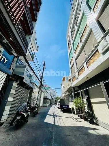 6006295 ảnh đại diện 1