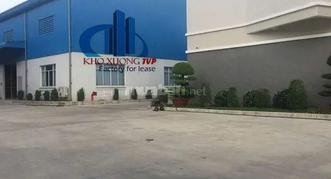 6006145 ảnh đại diện 1