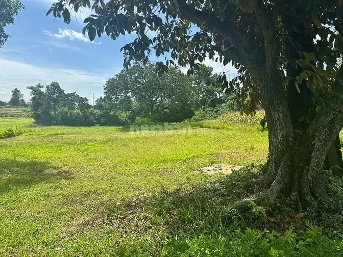 Bán Đất Sổ Đỏ Chính Chủ Sang Tay Ngay Tại Xã Thanh Mỹ, Sơn Tây, Hà Nội