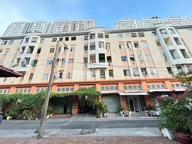 6006338 ảnh đại diện 1