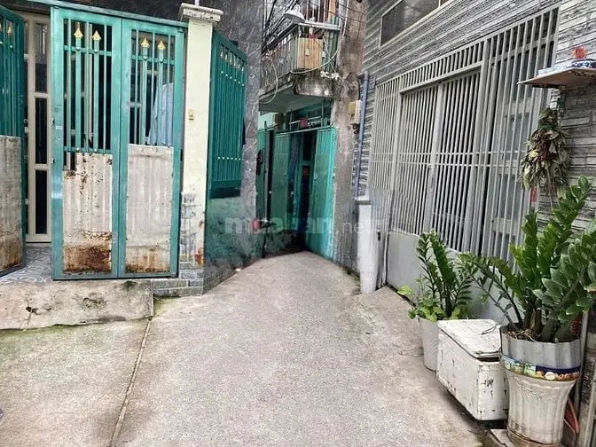 6006316 ảnh đại diện 1