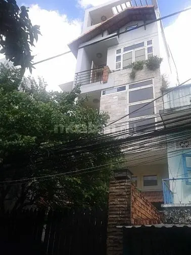 6006442 ảnh đại diện 1